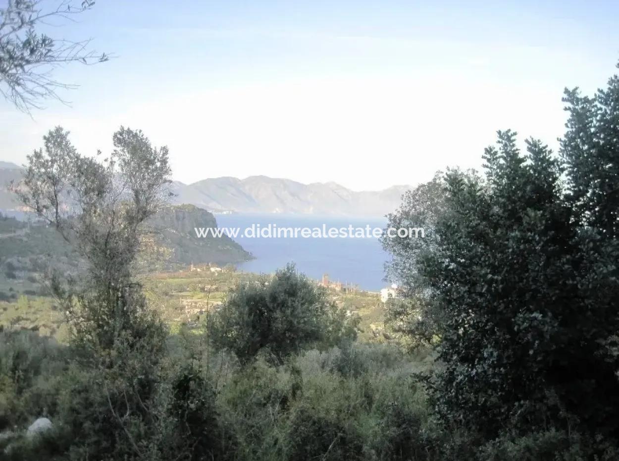 15000M2 Grundstück Zum Verkauf Mit Meerblick In Kumlubük Bay, Marmaris