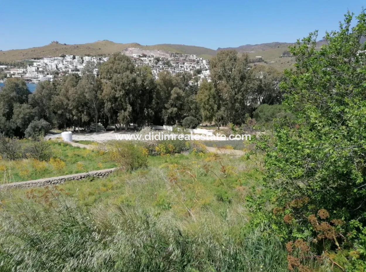 Grundstück Zu Verkaufen Mit 4000M2 Touristischen Entwicklung Am Meer In Bodrum Akyarlar