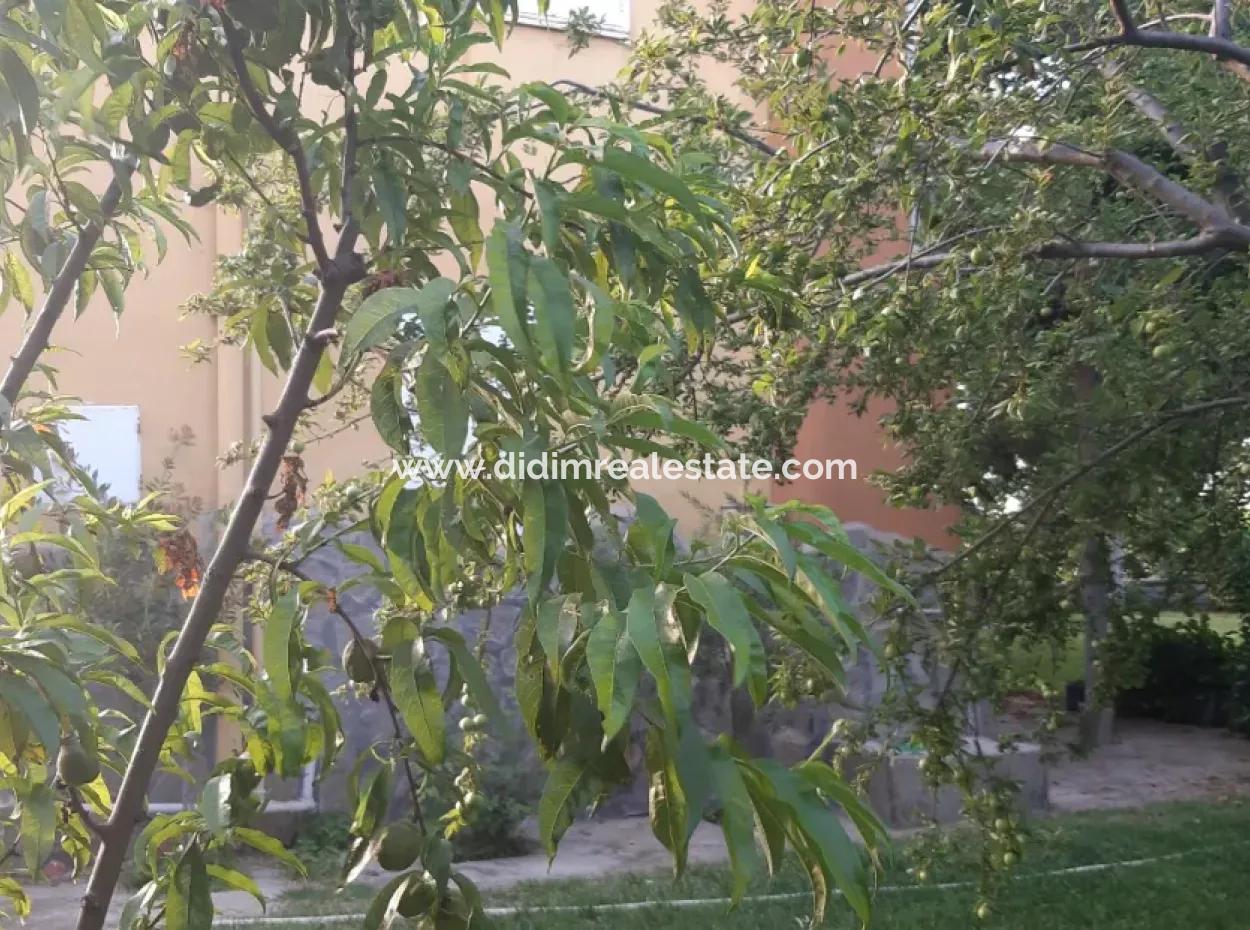 Manisa Präfektur Alasehir Bezirk 19000M2 Traubenfrierungsbetrieb Zum Dringenden Verkauf