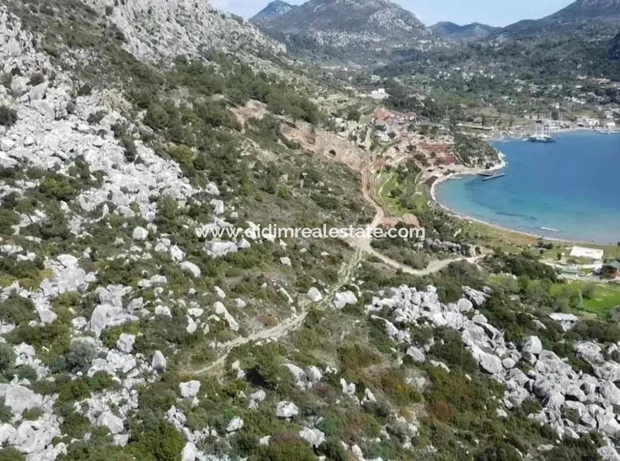 Grundstück Mit Meerblick Zum Verkauf Im Dorf Söğüt Im Bezirk Marmaris, Geeignet Für Investitionen 50 Meter Vom Meer Entfernt