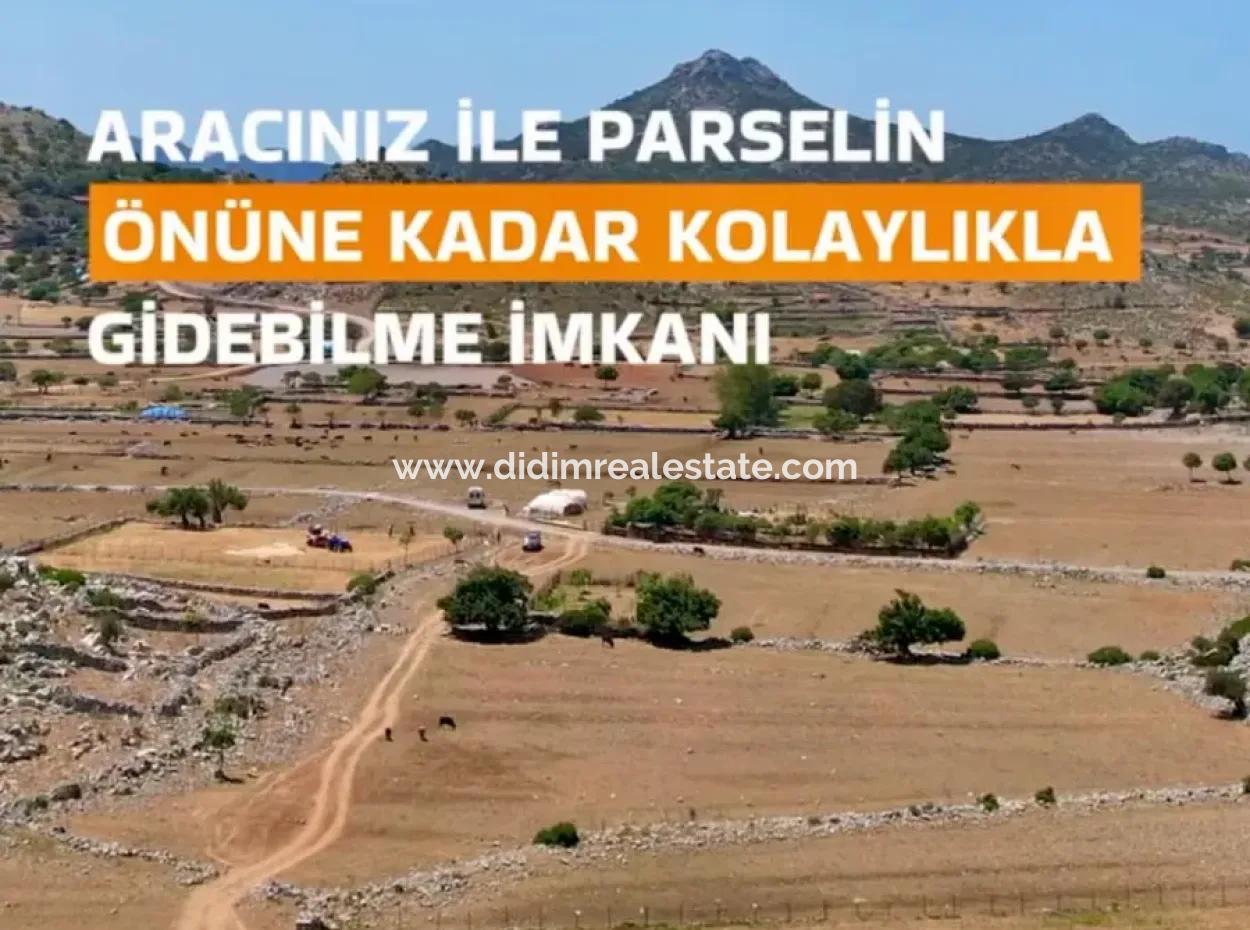 Marmaris Taşlıca Dorf 1500M2 3 Eigentumsurkunden Feld Zum Verkauf Mit Straße Verfügbar