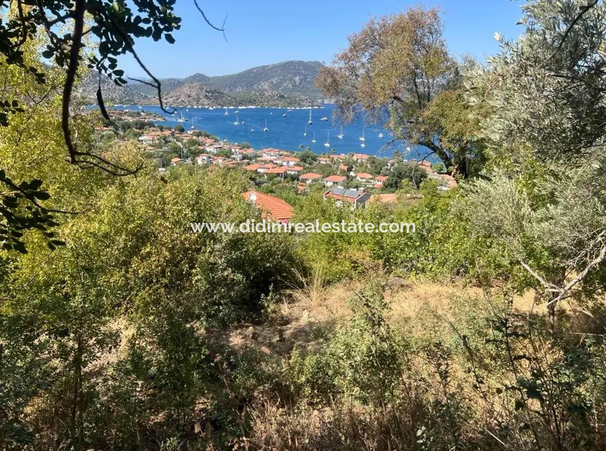 Grundstück Zum Verkauf In Marmaris Selimiye Nachbarschaft Mit Meerblick 5200M2, Geeignet Für Den Bau Von 2 Villen Oder Hotelbau