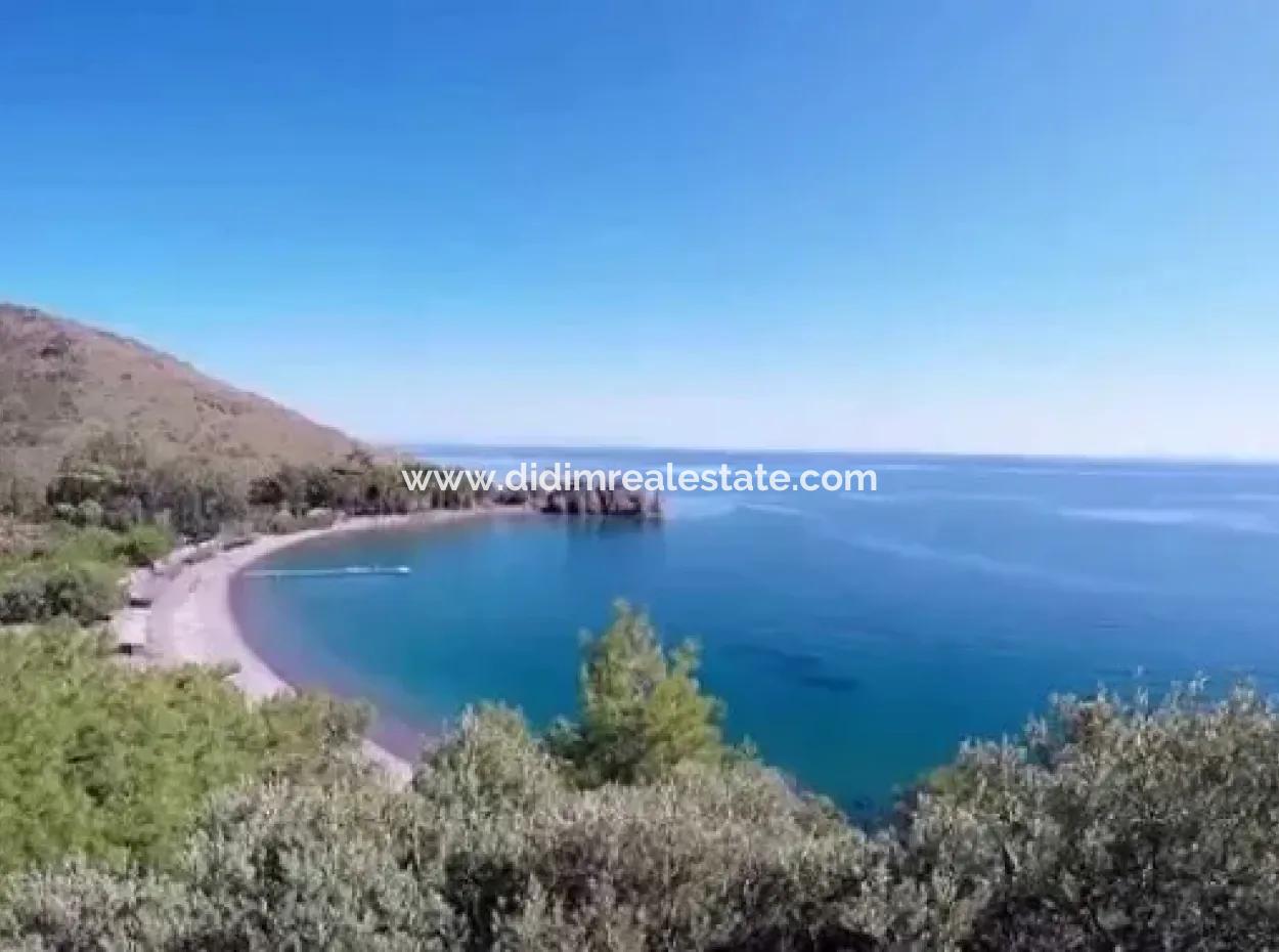 100000M2 Zonen Dorf 60 Km Vom Stadtzentrum Von Datca Zum Verkauf