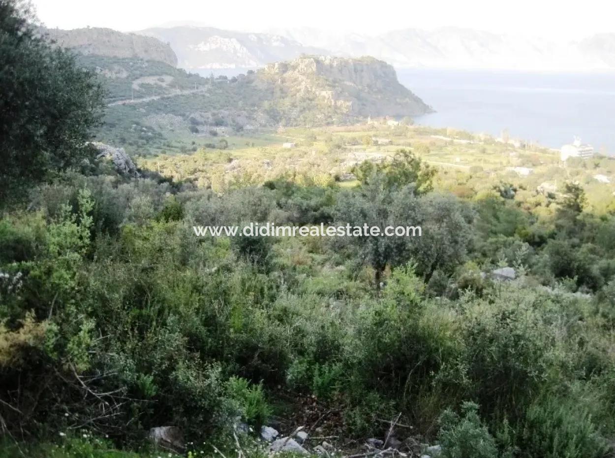 15000M2 Land For Sale With Sea Views At Kumlubük Bay, Marmaris