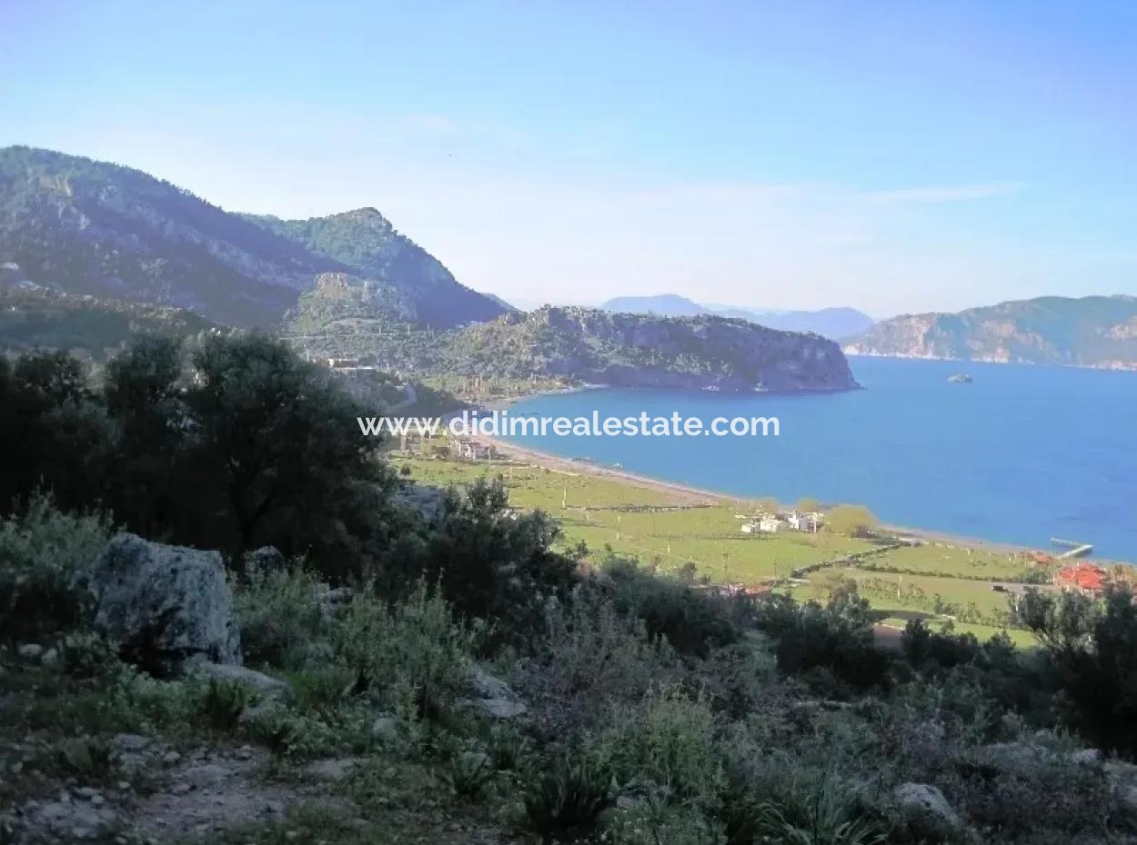 21000M2, Owns The Marina Hotel At The Sea Kumlubük Bay And Land For Sale