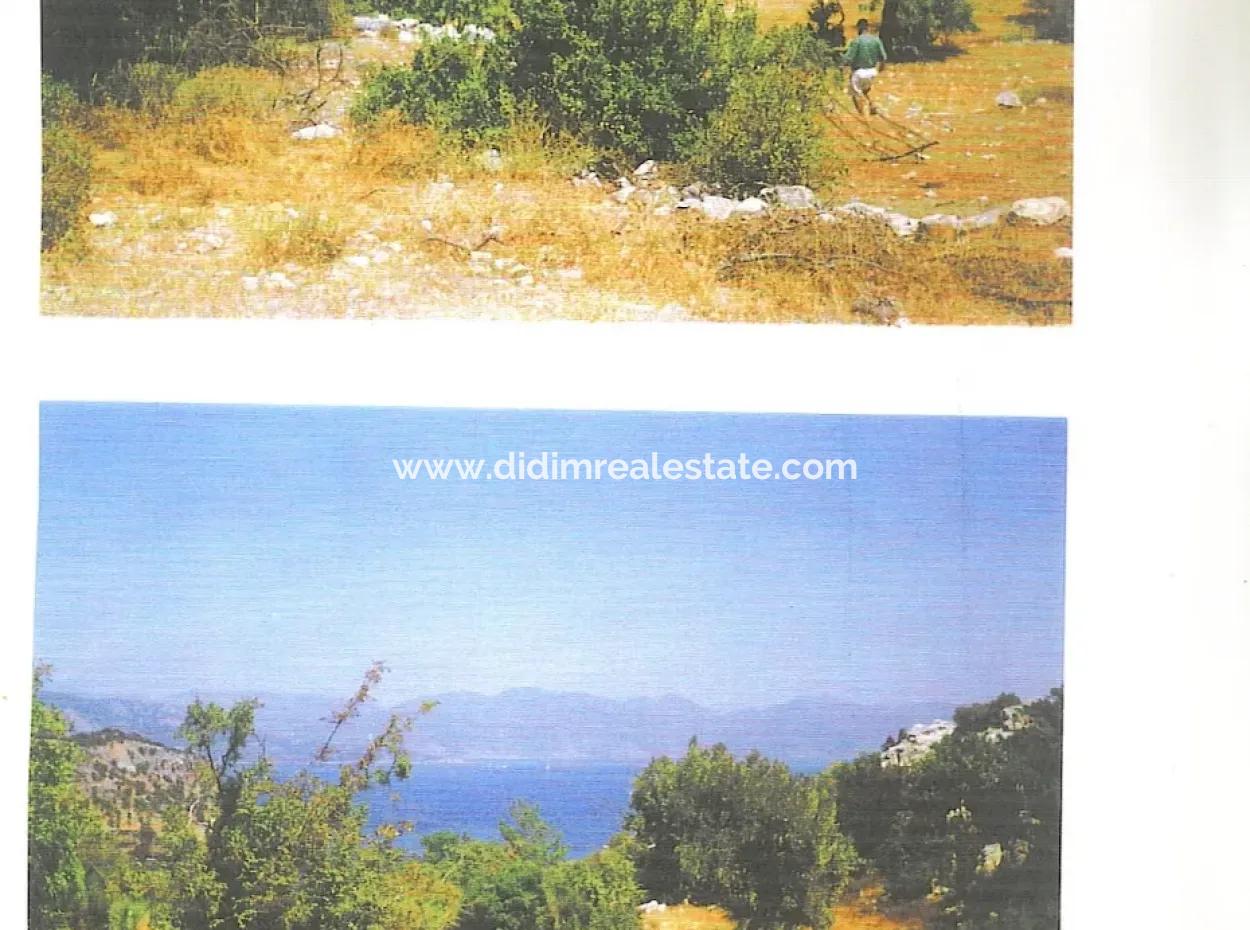 11000 M2 Overlooking The Sea At Kumlubük Bay For Sale
