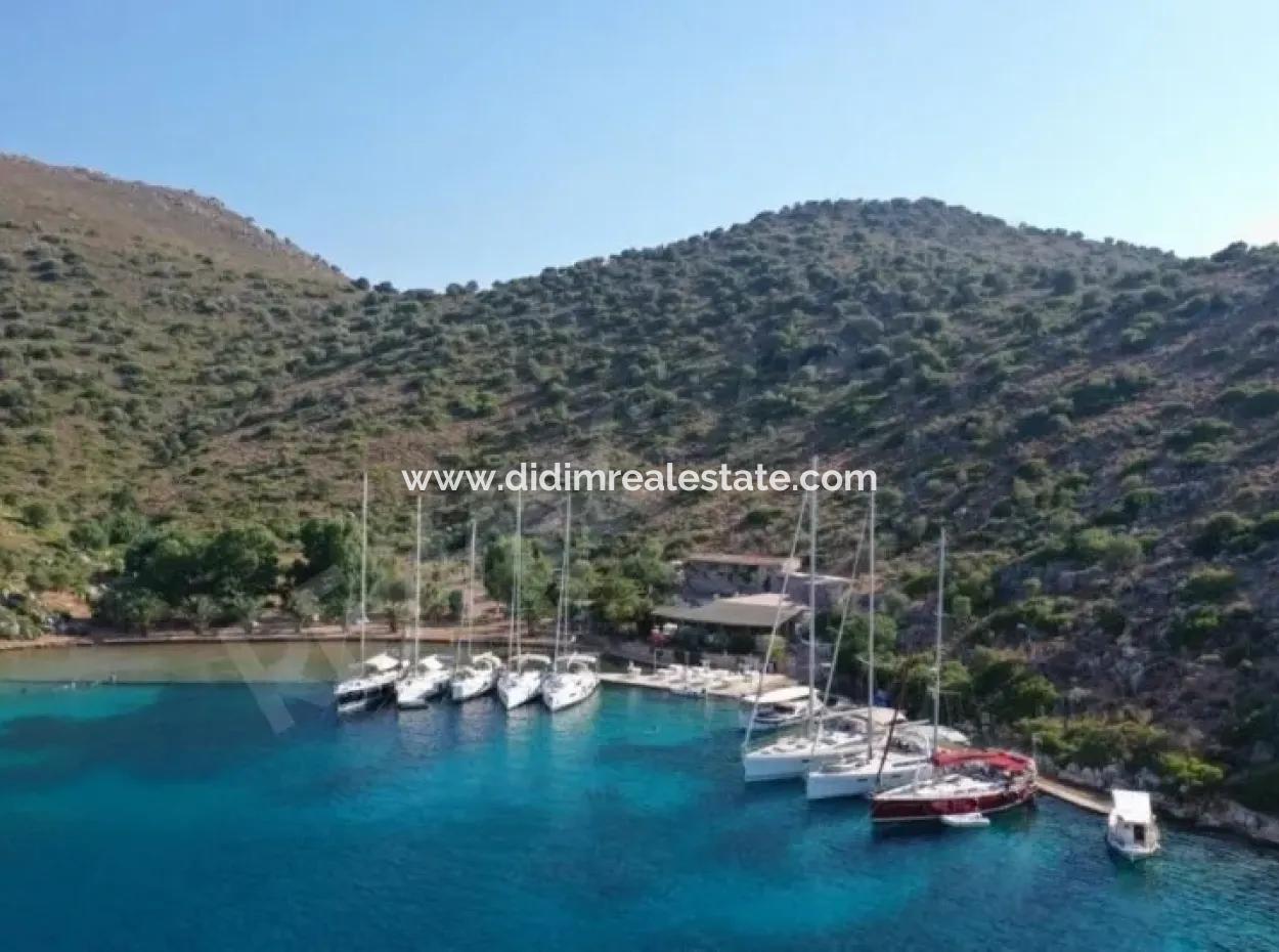 Built On A Plot Of 7000 M2, The Yacht Club Hotel ,Yacht For Sale By The Sea Location