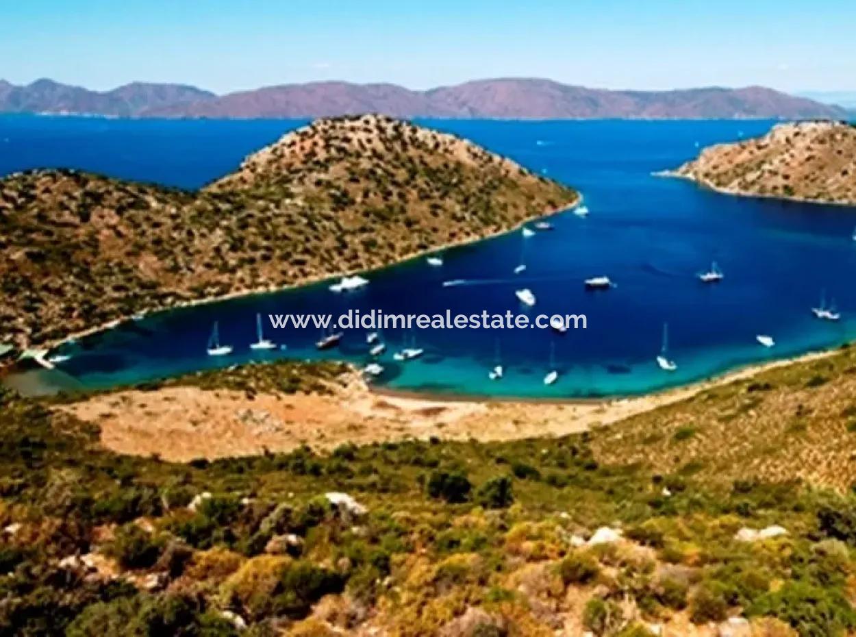 Built On A Plot Of 7000 M2, The Yacht Club Hotel ,Yacht For Sale By The Sea Location