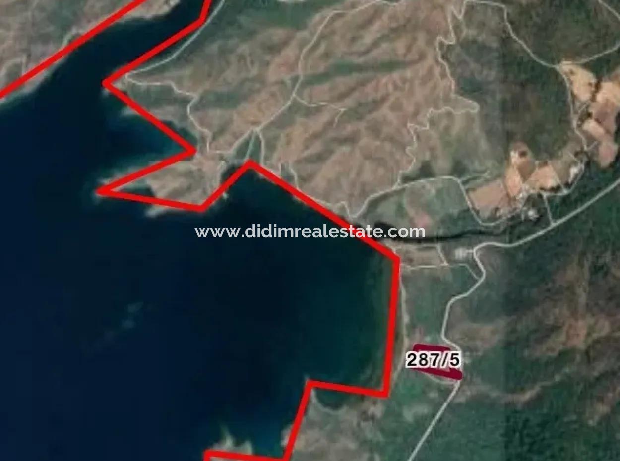Is Bordubet Marmaris Sea Our Land Is 13000M2 At Bay Area Kitesurf For Sale.