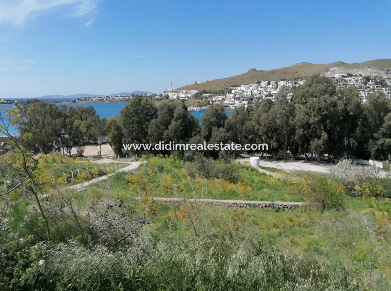 Land For Sale With 4000M2 Tourism Development By The Sea In Bodrum Akyarlar