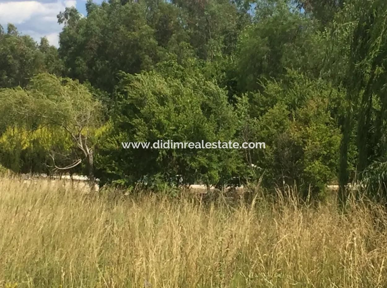 Amazing Farm For Sale In Mugla Gokova Bay, Built On 26000M2Arsa