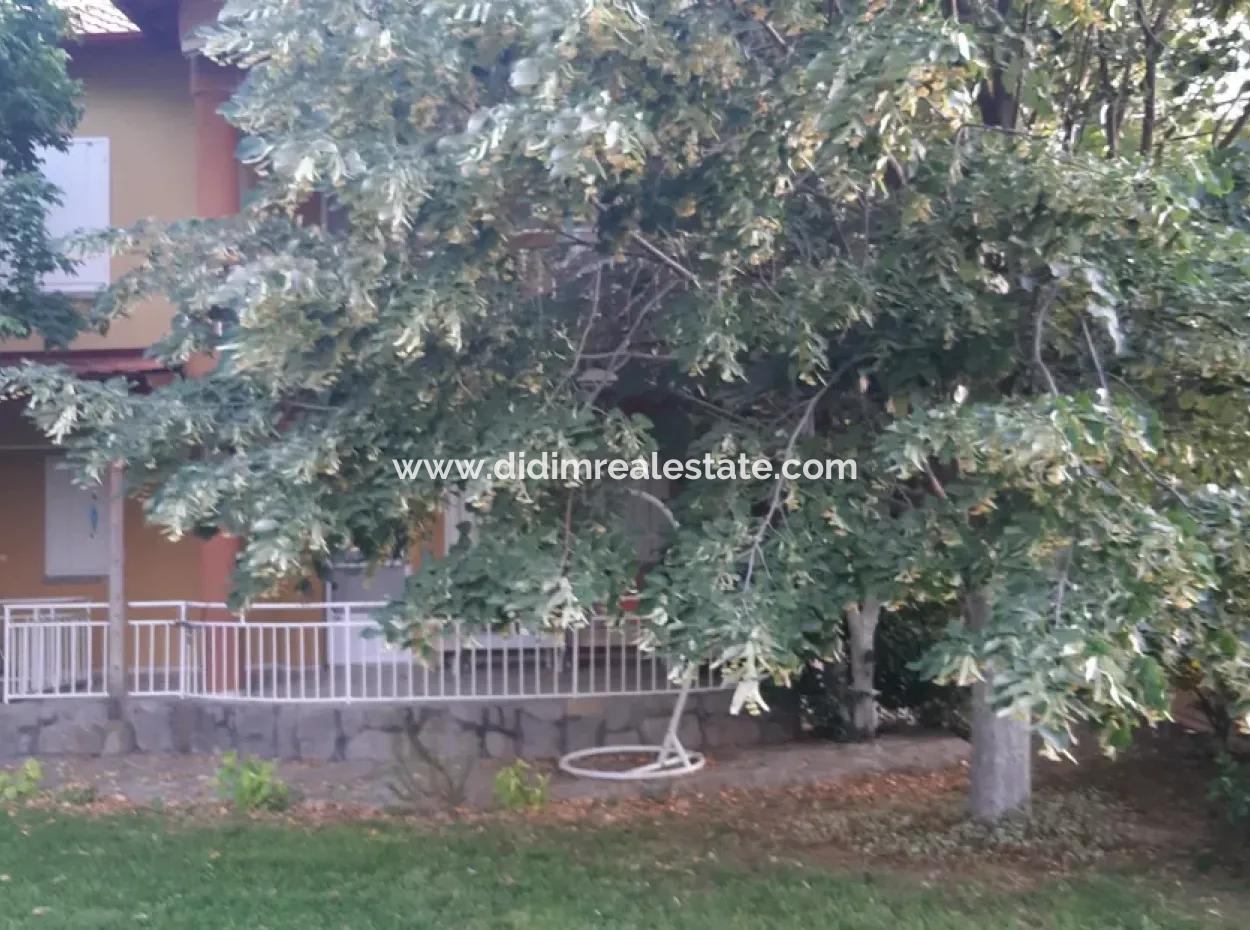 Manisa Prefecture Alasehir District 19000M2 Grapefring Farm For Urgent Sale