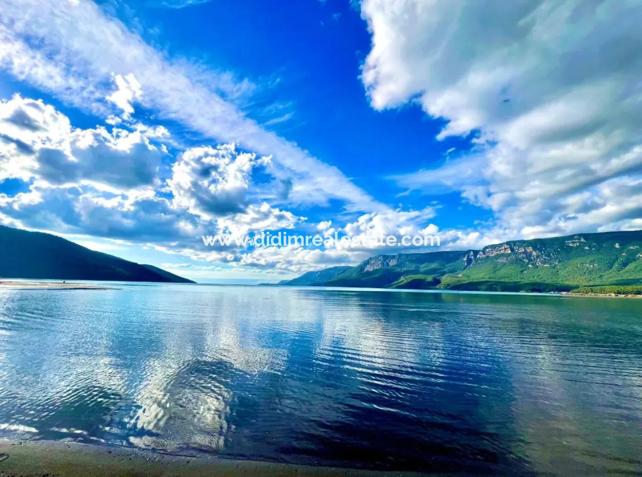 Luxury Apartment For Sale With Swimming Pool In Gökçe Neighborhood Of Ula District Of Muğla Province 2 Km To The Sea With Forest View