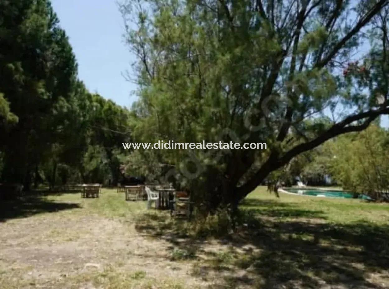 Camping And Caravan Parking For Sale By The Sea Close To Datça Karaköy Port