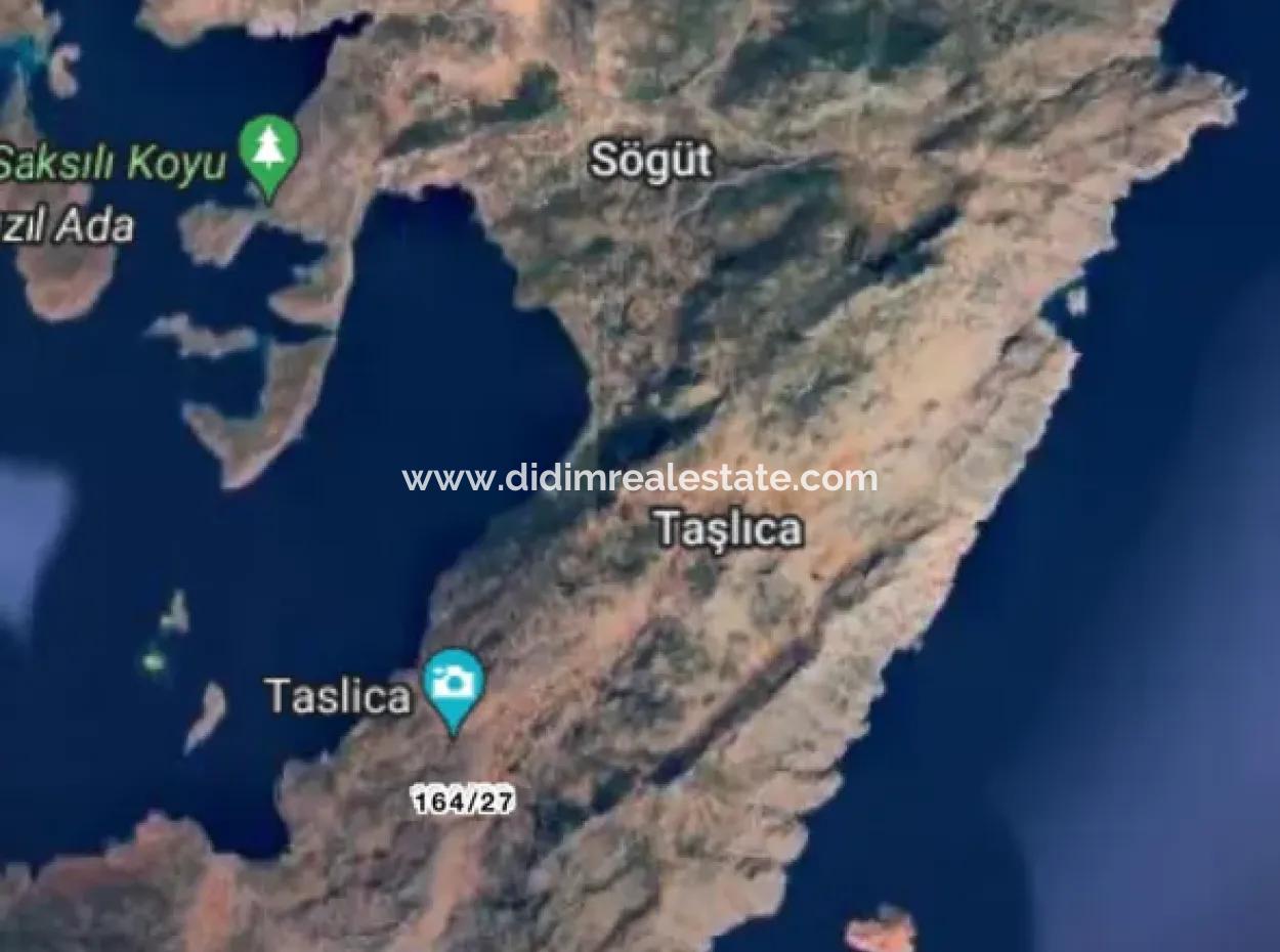 Marmaris Taşlıca Village 1500M2 3 Title Deeds Field For Sale With Road Available