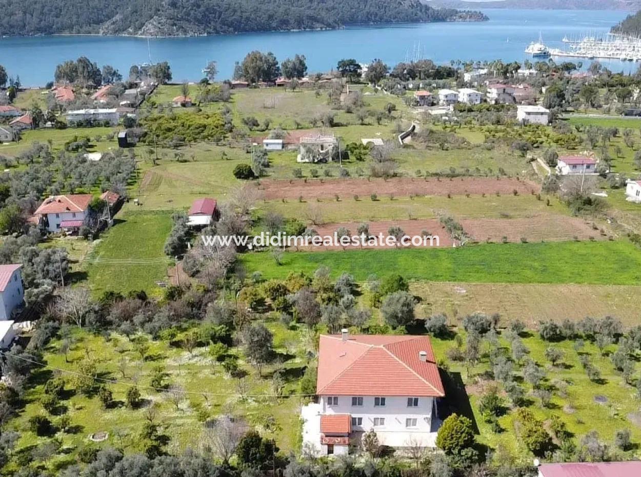 Farmhouse Among Olive Groves With 10 Rooms In A Plot Of 3700M2 Close To The Sea In The Orhaniye Neighborhood Of Marmaris From The Real Estate Agent