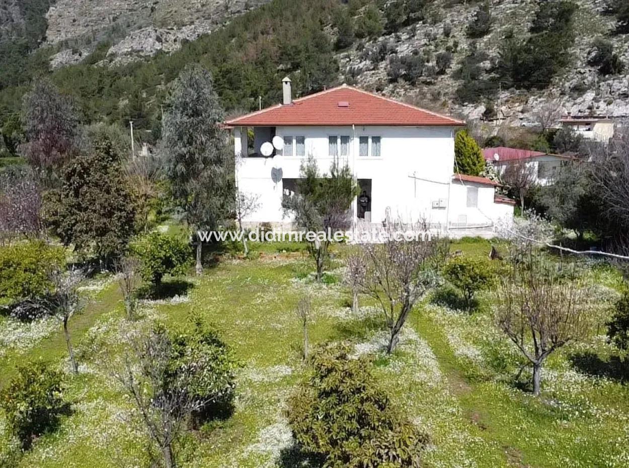 Farmhouse Among Olive Groves With 10 Rooms In A Plot Of 3700M2 Close To The Sea In The Orhaniye Neighborhood Of Marmaris From The Real Estate Agent