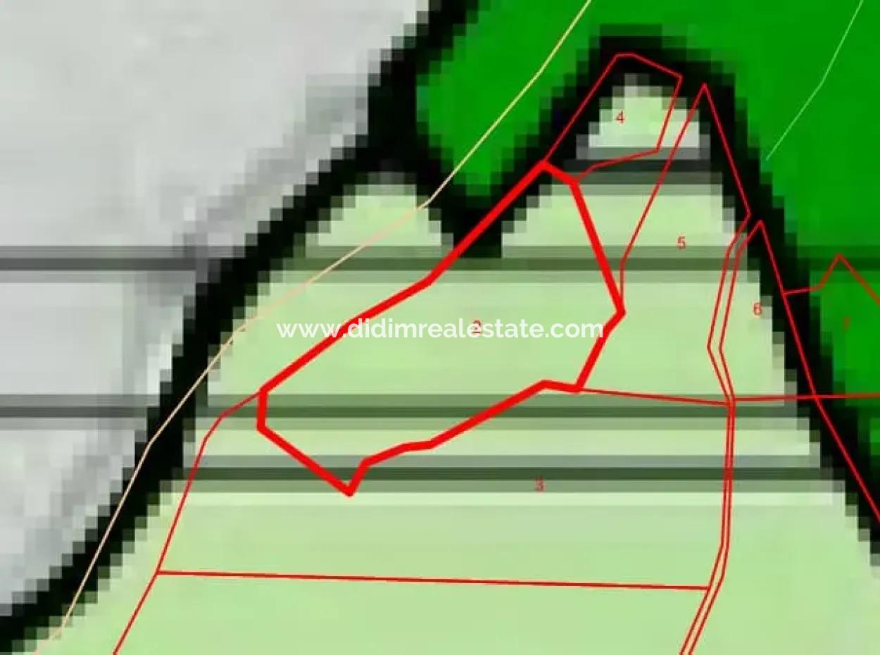 1600 M2 Bay By The Sea In Söğüt Neighborhood Of Marmaris District From Real Estate Agent