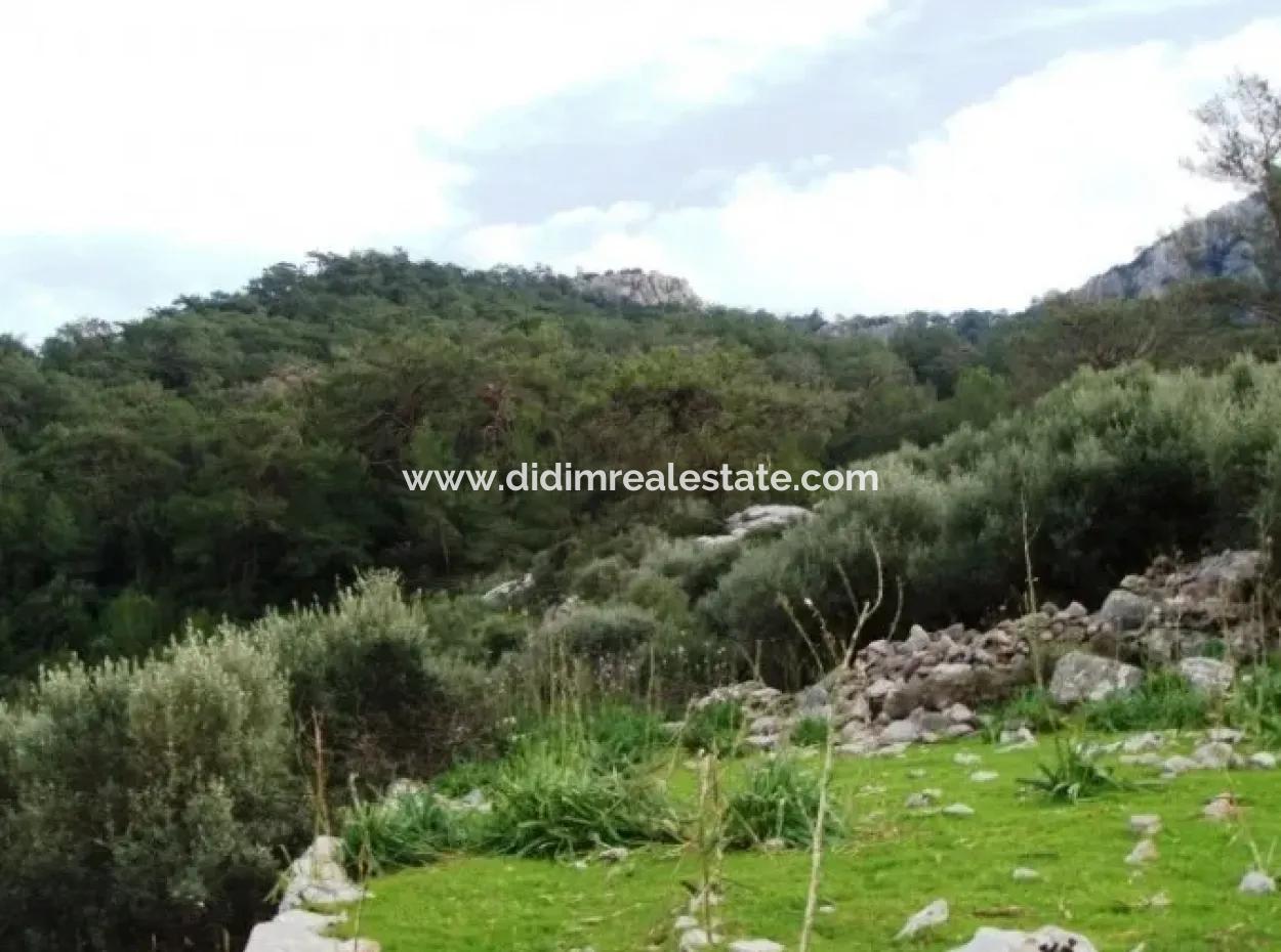 Appropriate Investment In The Area Of Marmaris 5 Star Hotel Land For Sale