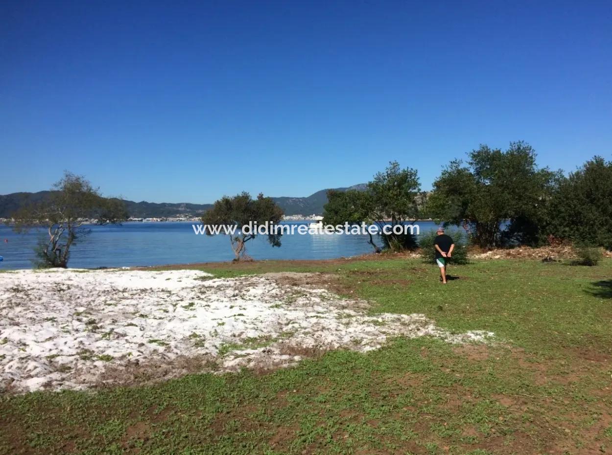 The Land For Sale From Marmaris Near The Sea Plot Hotels,Marina,Yacht Club Land 4000 M2