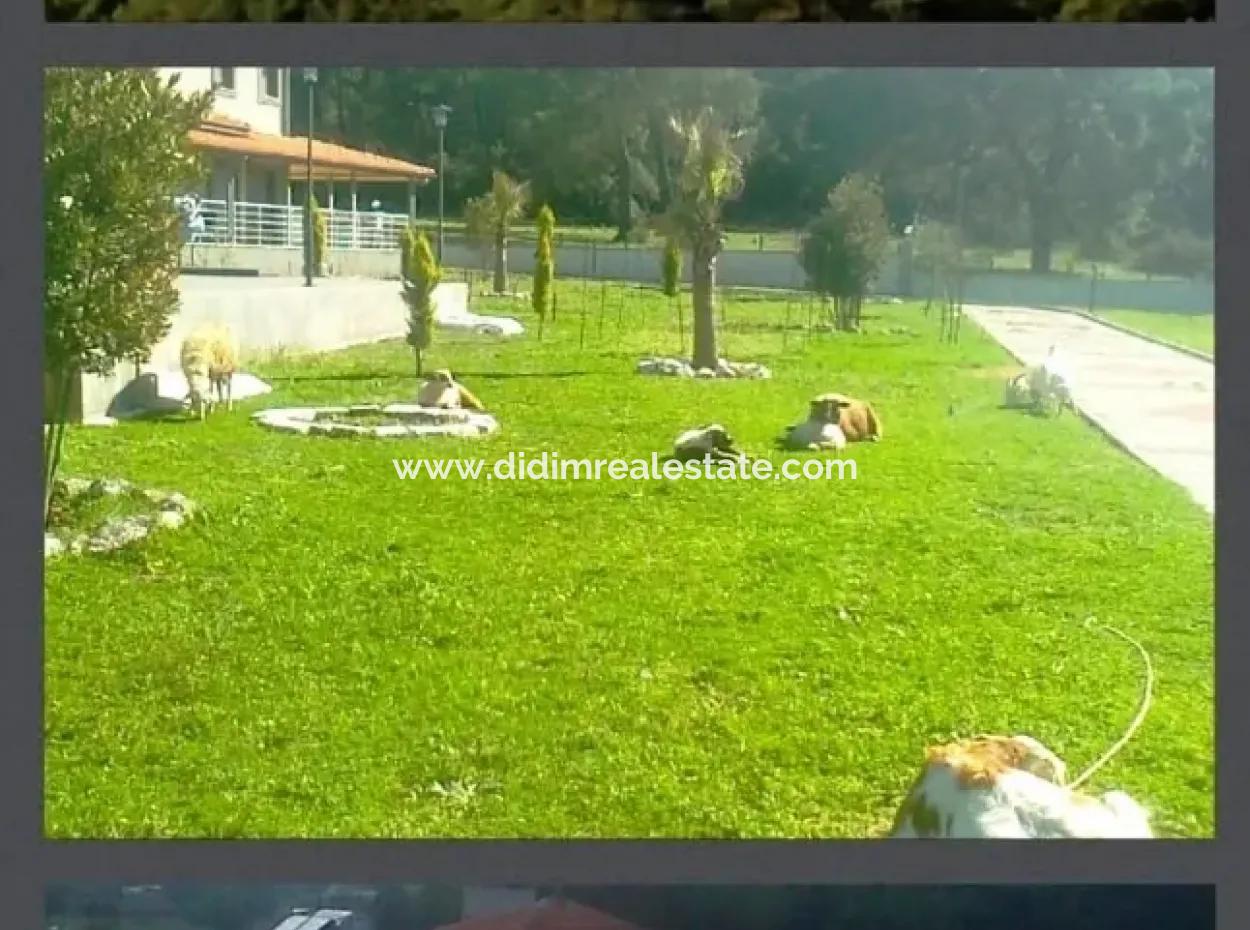 Marmaris İçinde 7000M2 Arsa Üzerine Kurulu 8 Oda Çiftlik Evi Havuz Mevcut