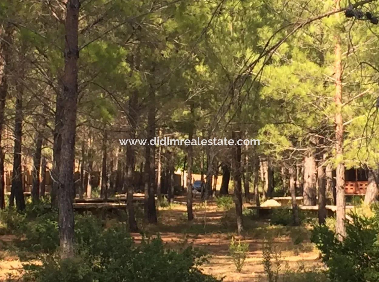 Bördübet Koyunda 7500M2 Arsa İçerisinde Bungalow Otel İçin Uygun Satılık Arsa