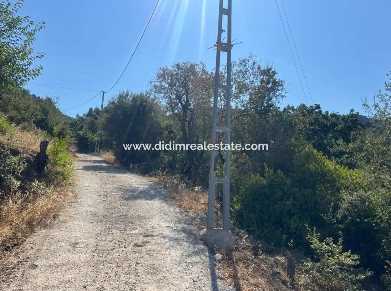 Marmaris Selimiye Mahallesinde Deniz Manzaralı 5200M2 Satılık Arsa 2 Villa Yapımına Yada Otel Yapımına Uygun Gayrimenkul